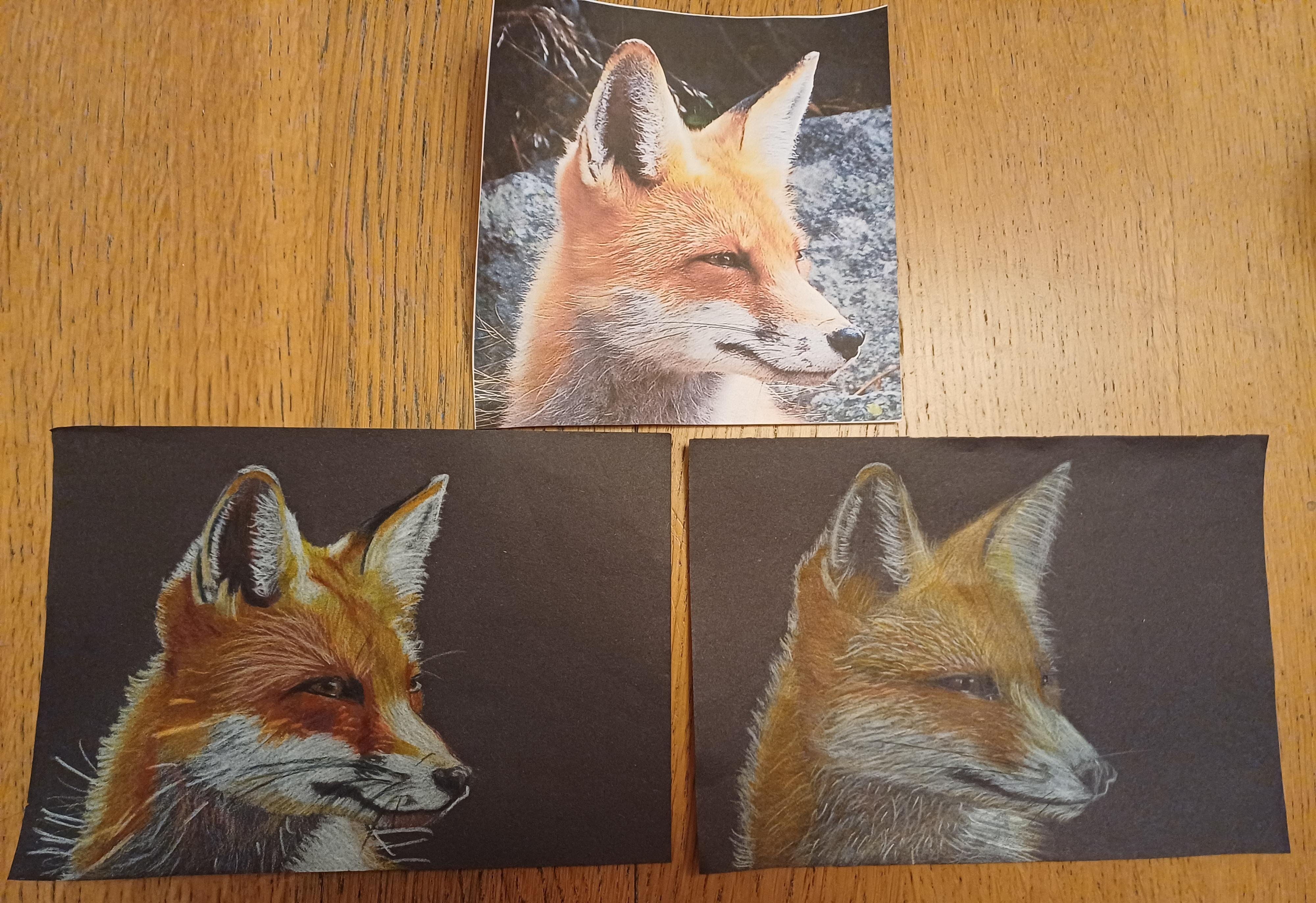 more-projects-from-class-img