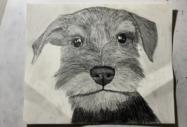 Pup