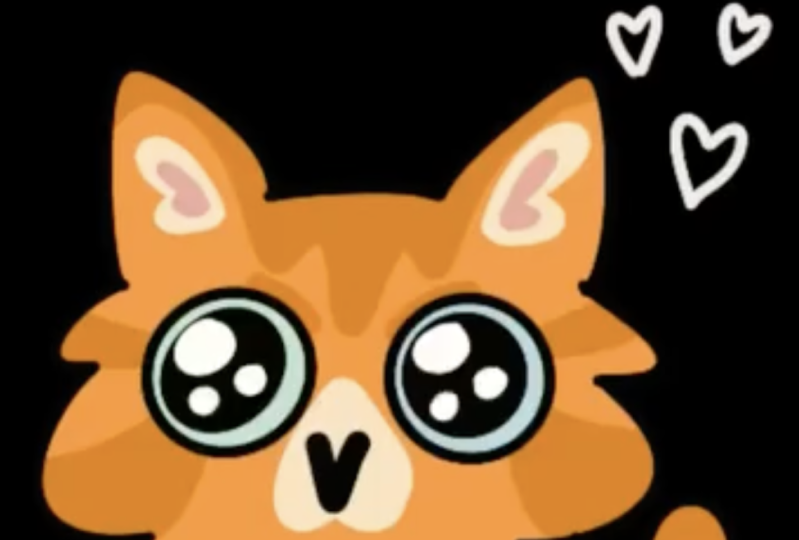 Catto meme