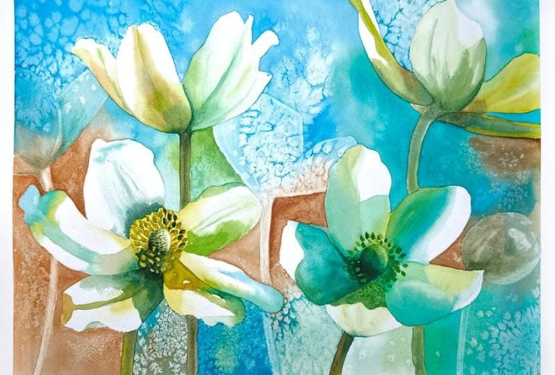 My Anemones