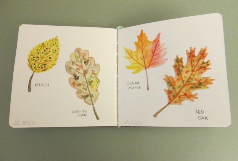 Autumn Leaves in Watercolor
