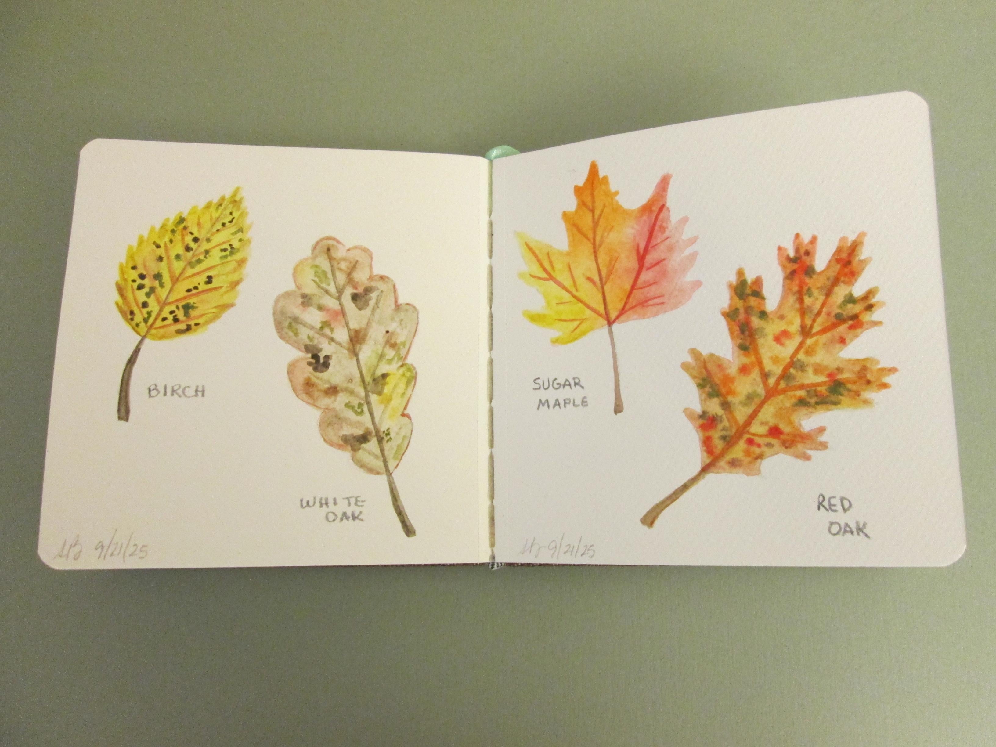 Autumn Leaves in Watercolor - student project