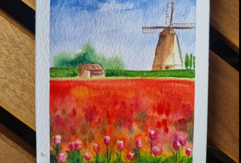 Lovely Spring Tulips