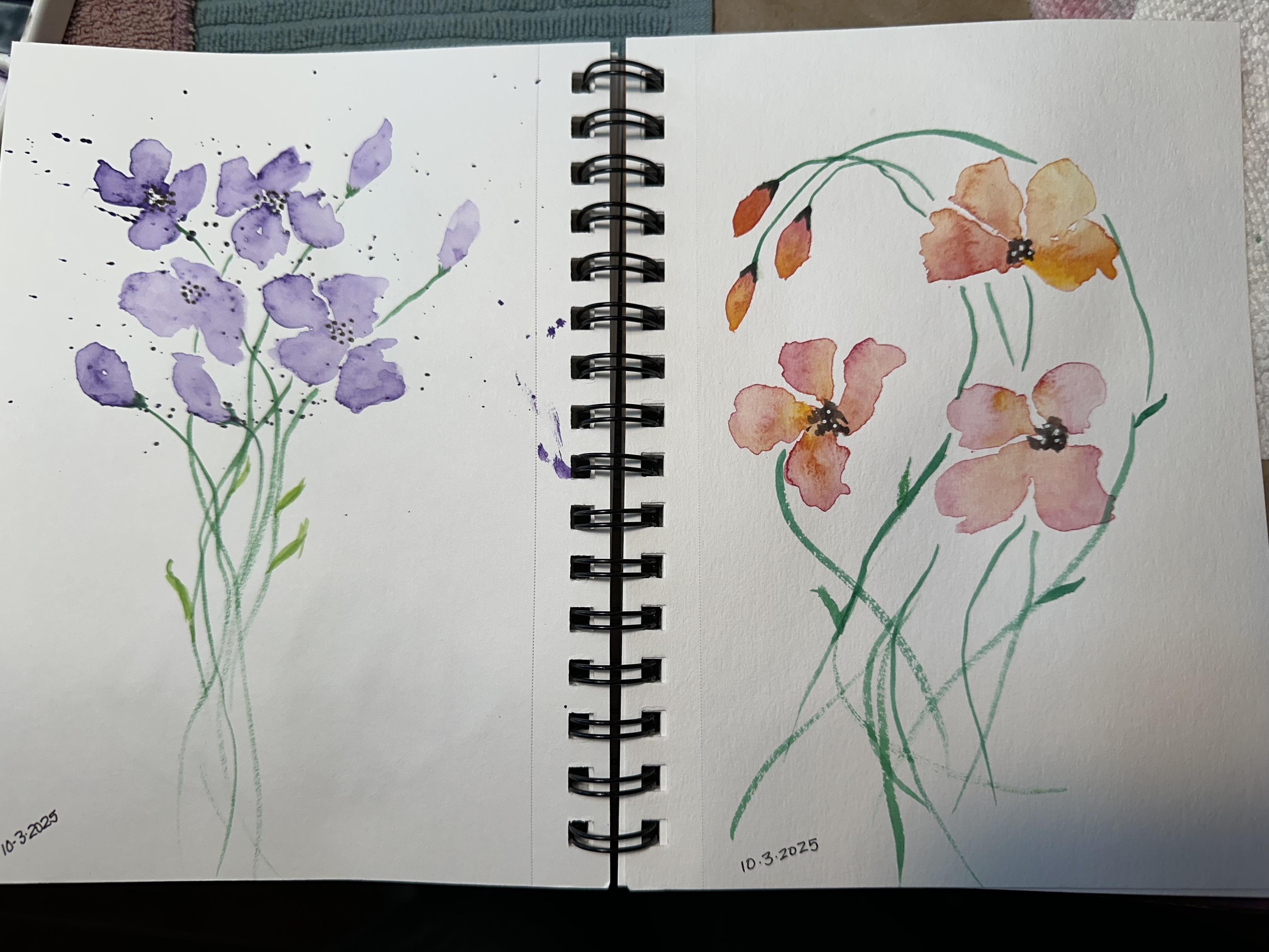 Class project - student project