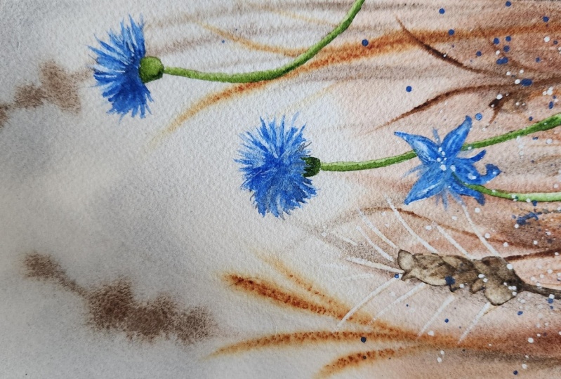 Cornflowers