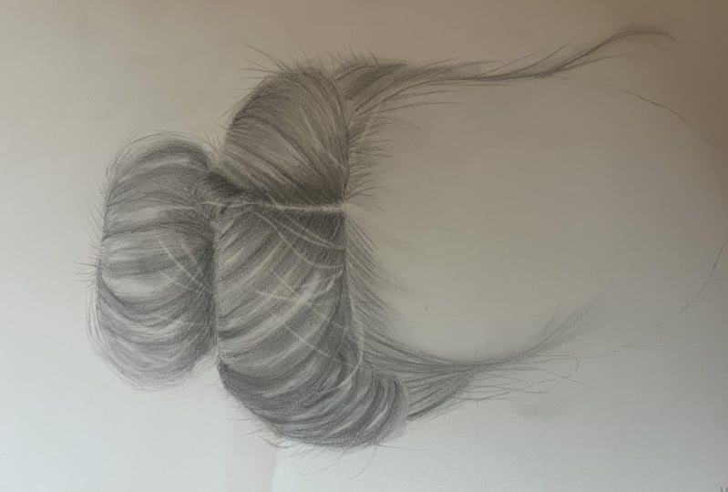 Hair