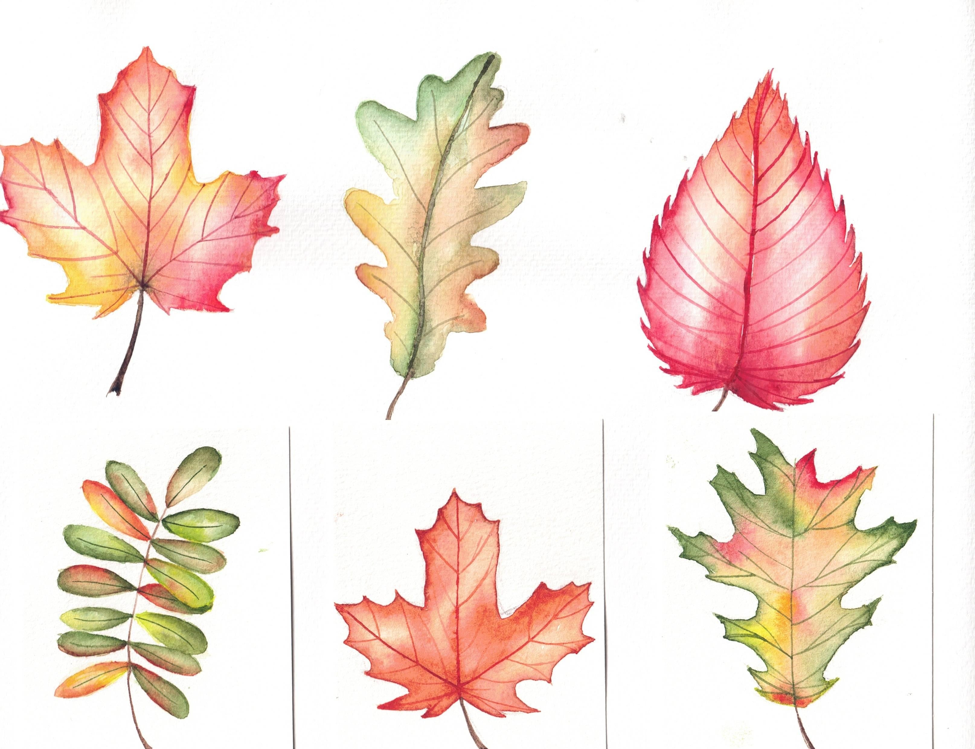 fall leaves - student project