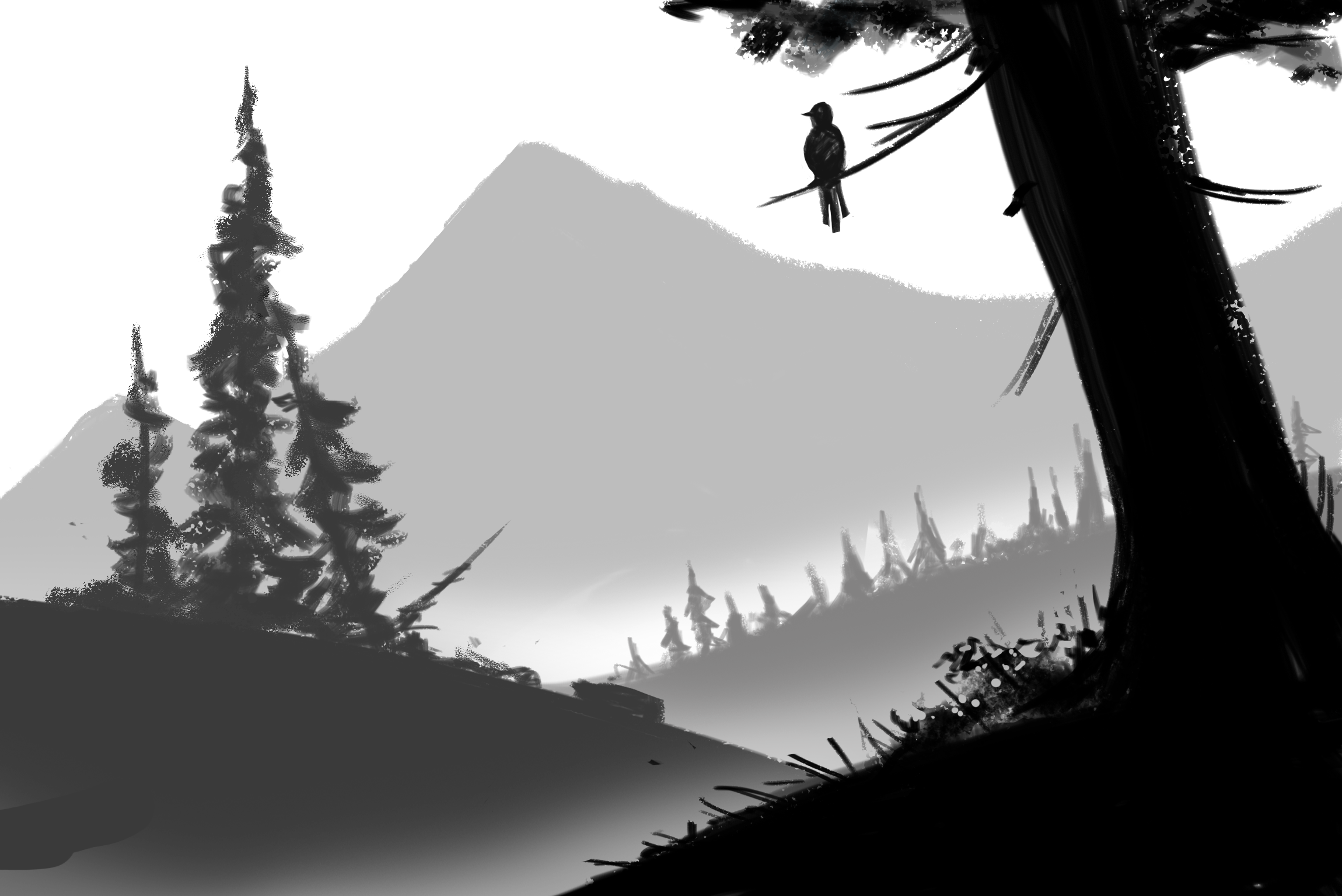 more-projects-from-class-img