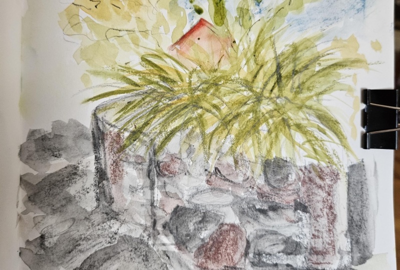 Sketch using graphite medium