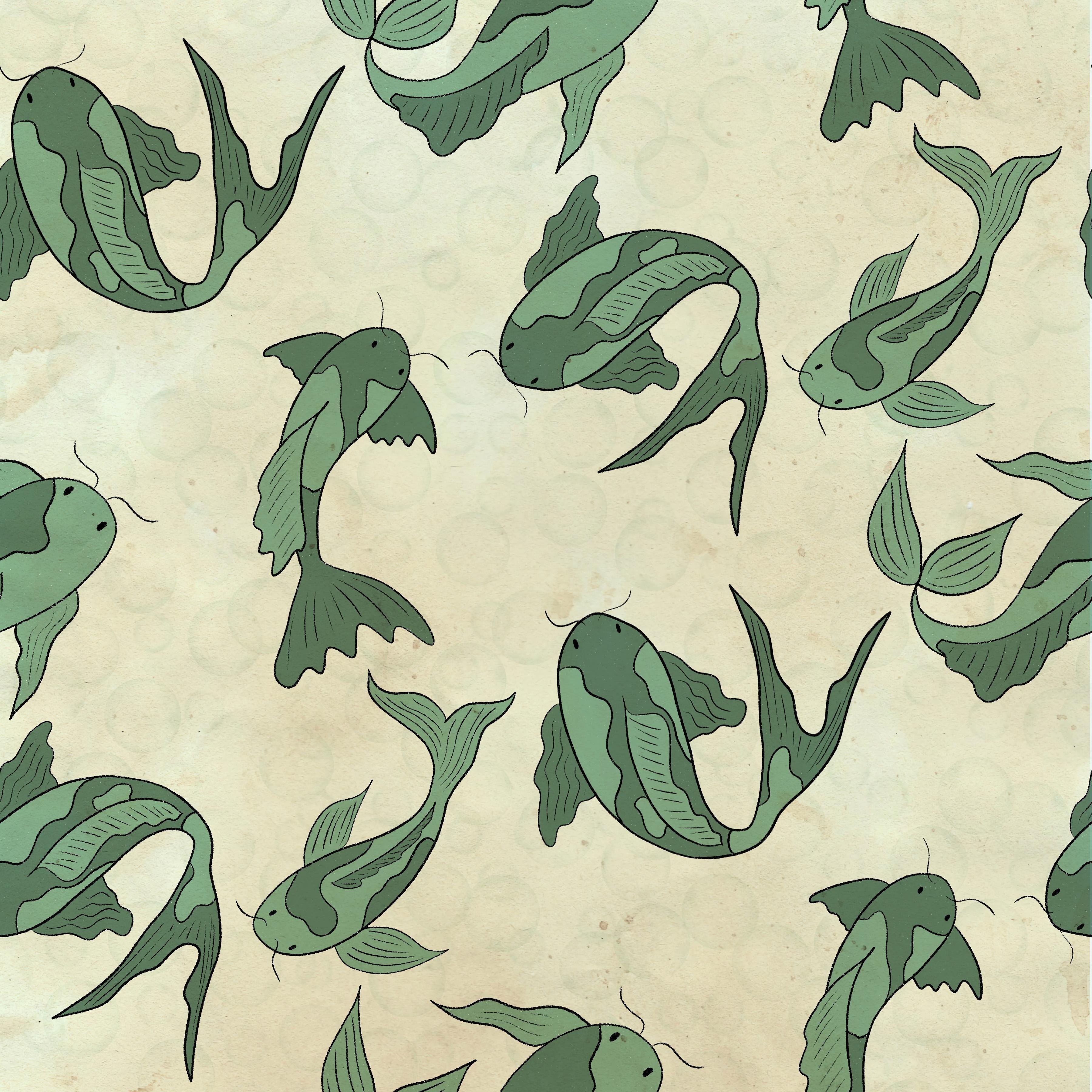 koi fish - student project