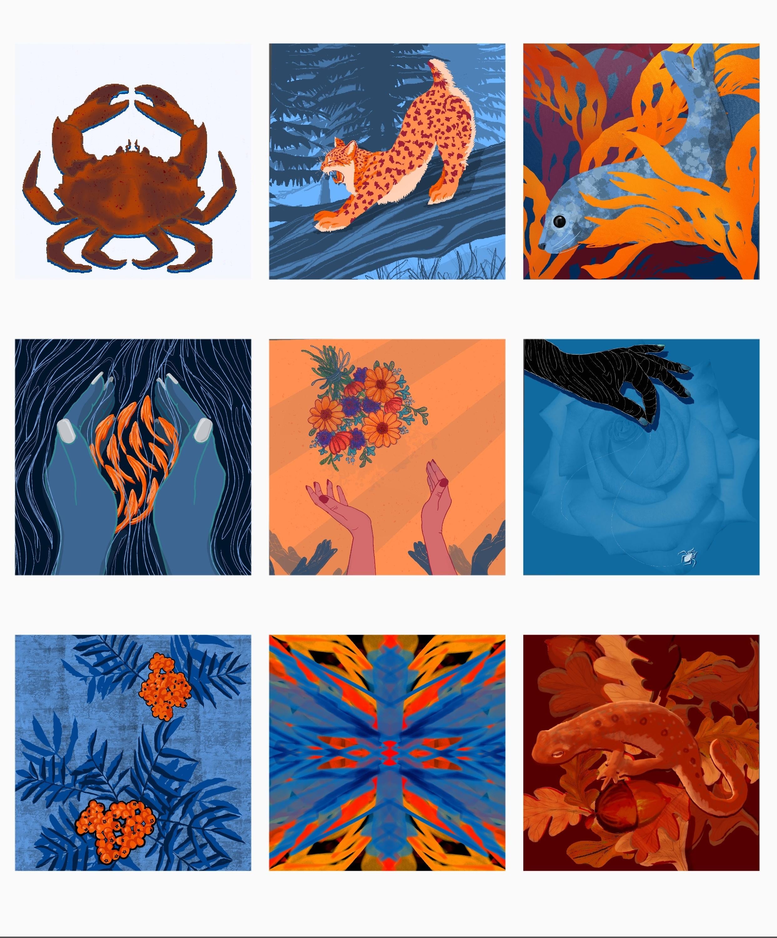 more-projects-from-class-img
