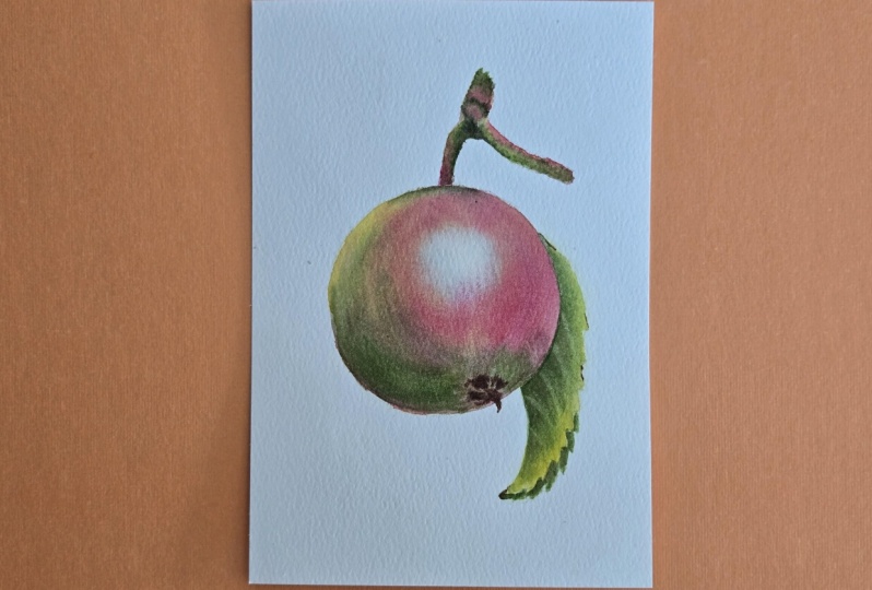 Watercolor Mastery: Achieve Realism
