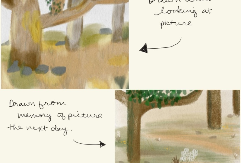Forest Scenes