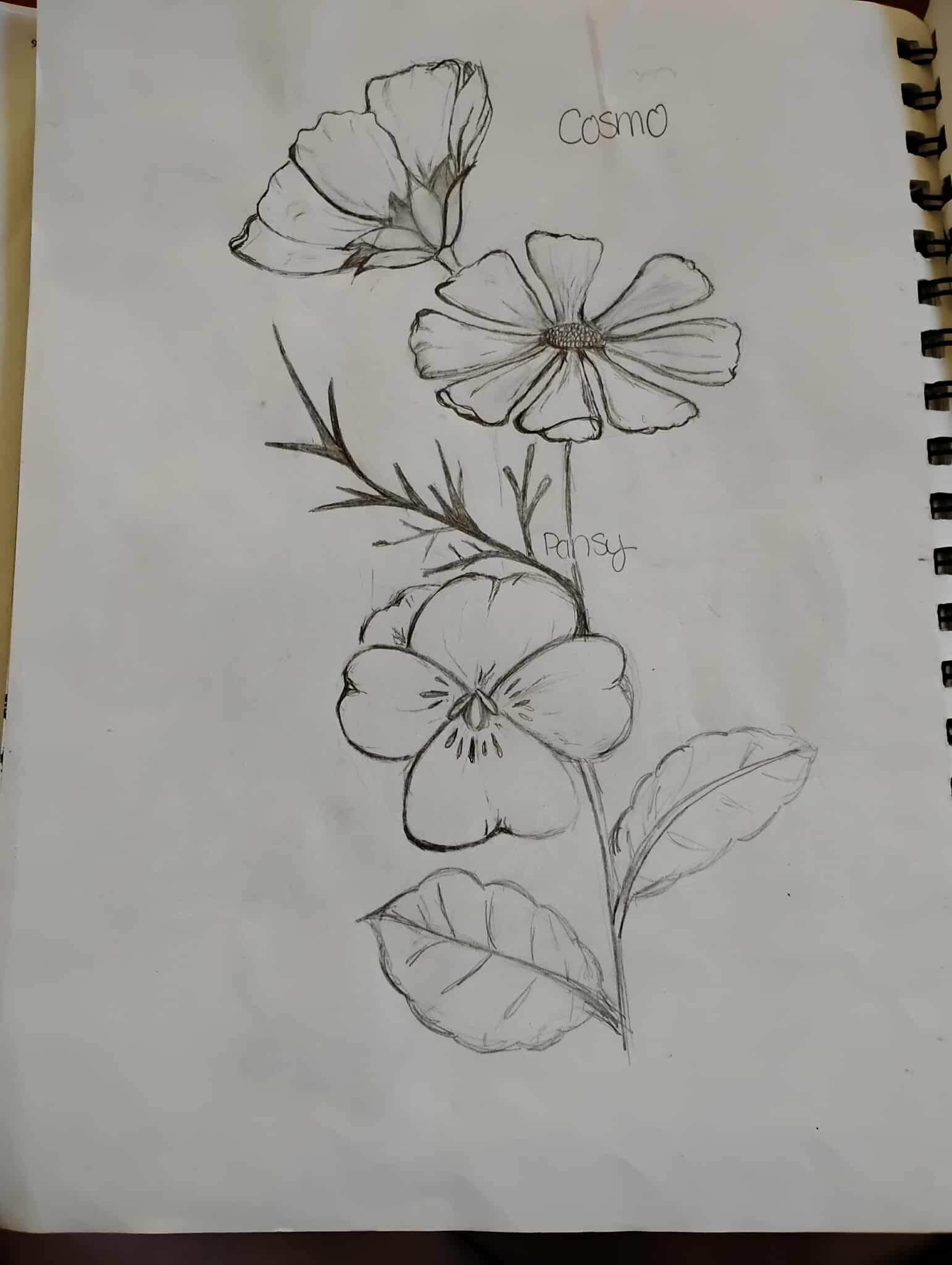 more-projects-from-class-img