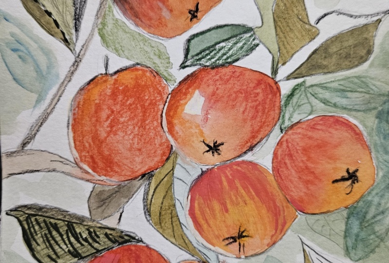 Mixed media apple study