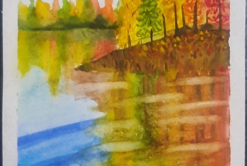 Autumn trees and reflections