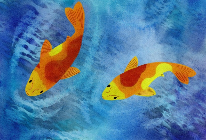 My fish