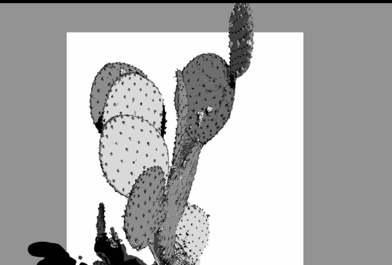 Cactus