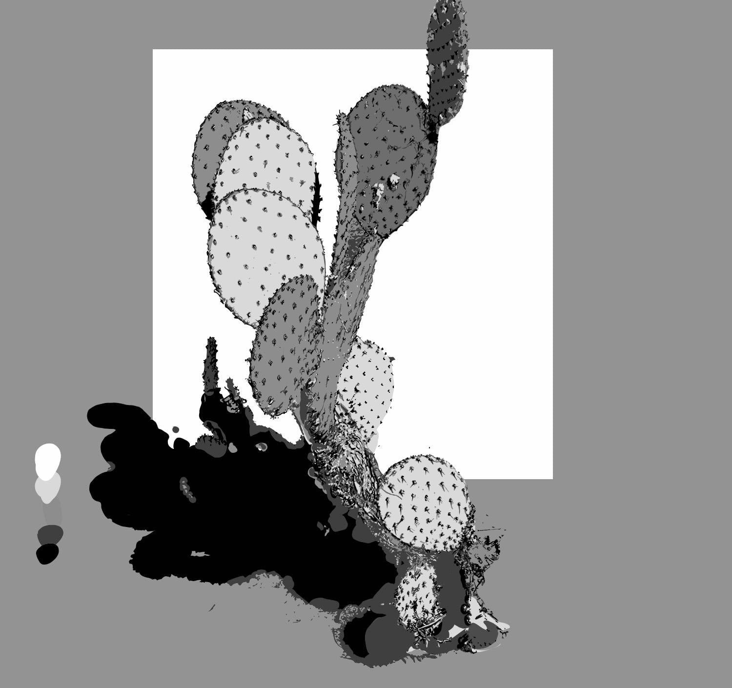 Cactus - student project