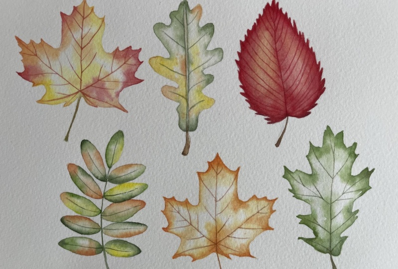 Watercolour autumn leaves