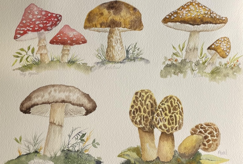 Mushroom Assortment