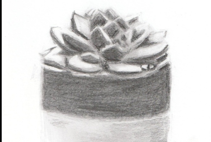 Realistic Drawings