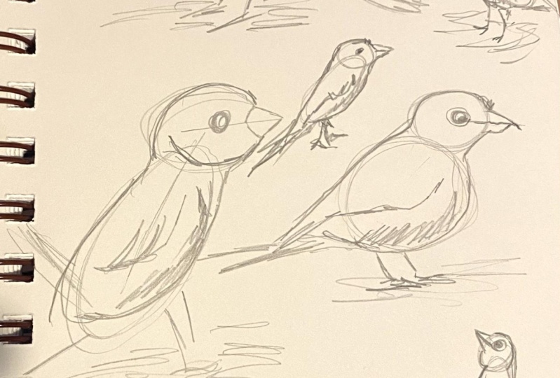 Quirky bird sketch