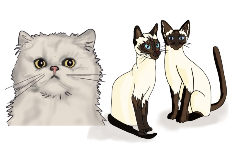 A few more cats and ‘Three minutes’ drawings!