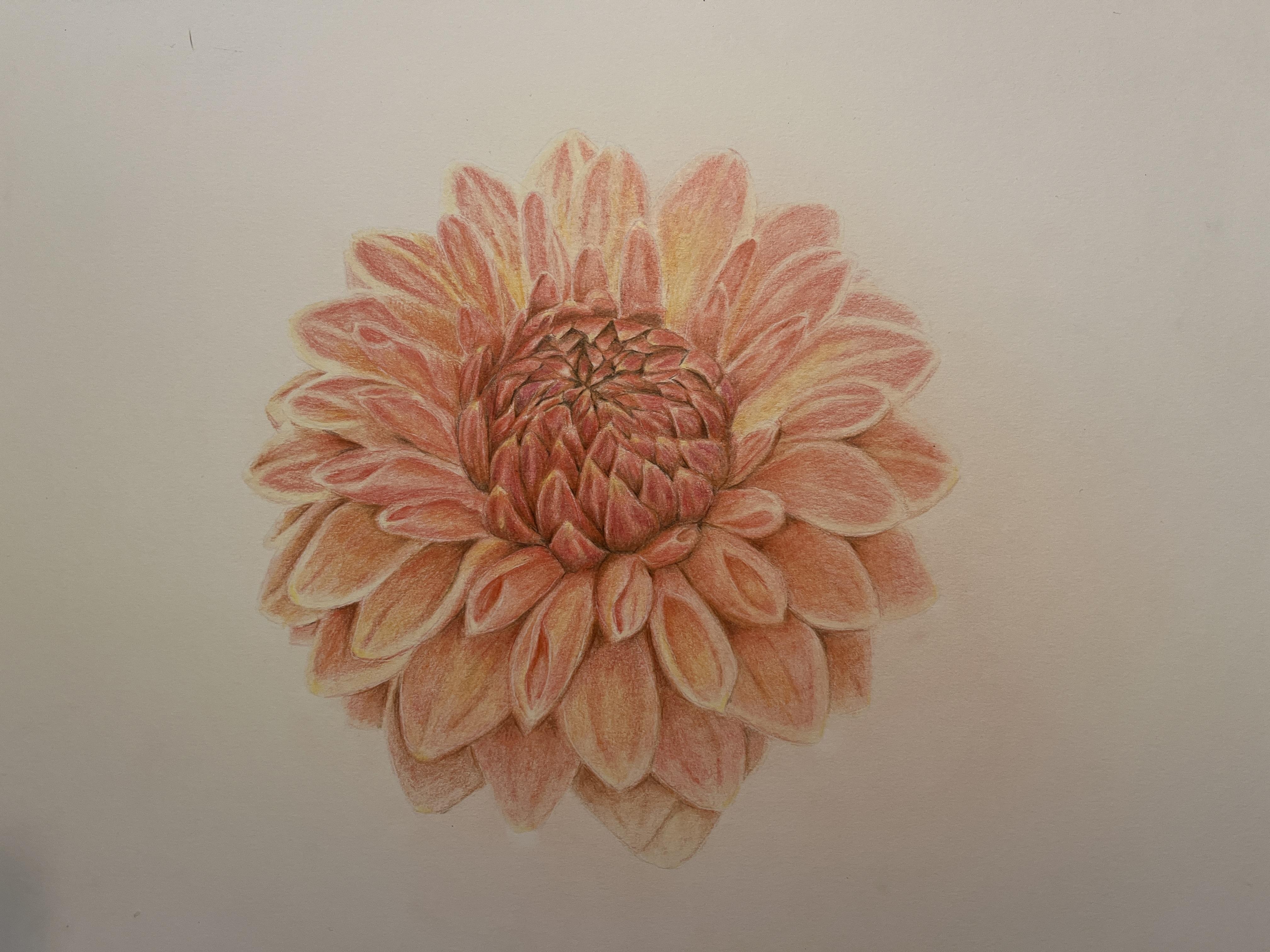 more-projects-from-class-img