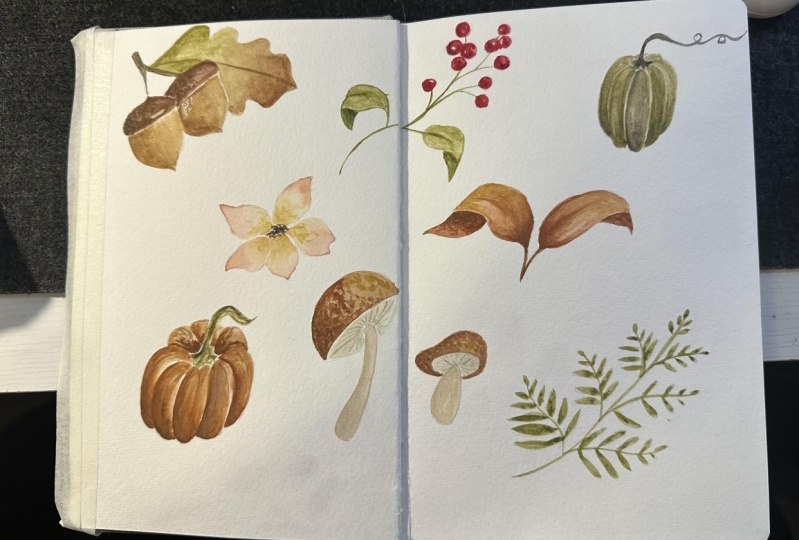Autumn watercolors
