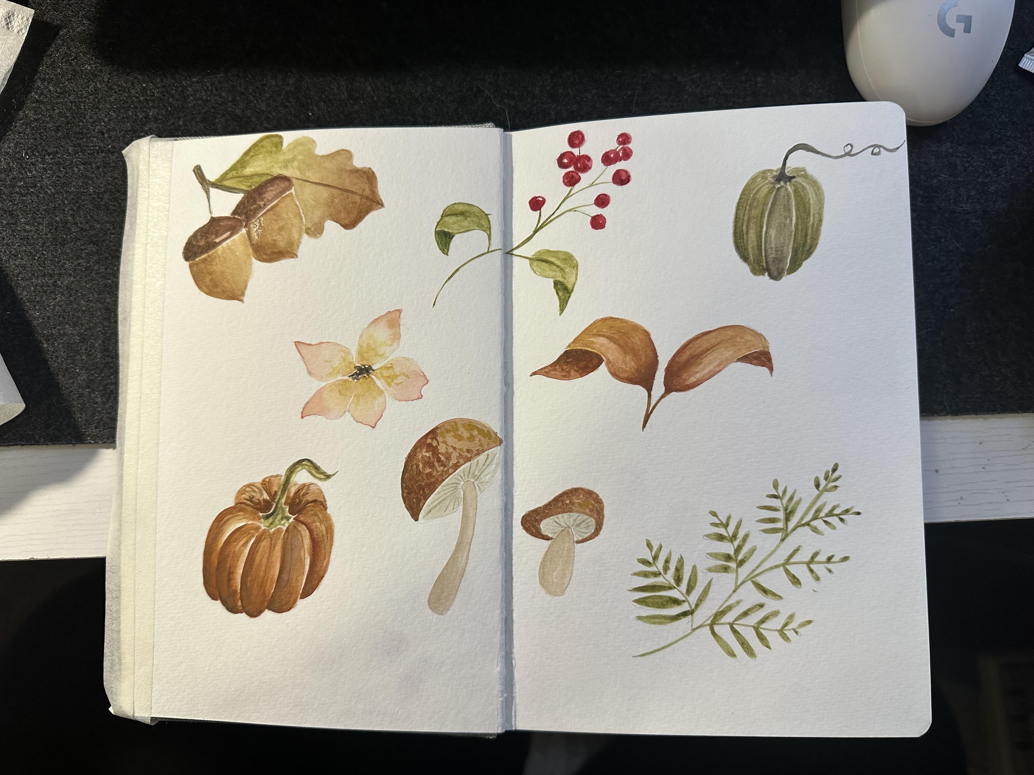 Autumn watercolors - student project