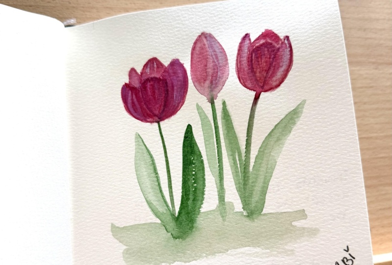 Tulips