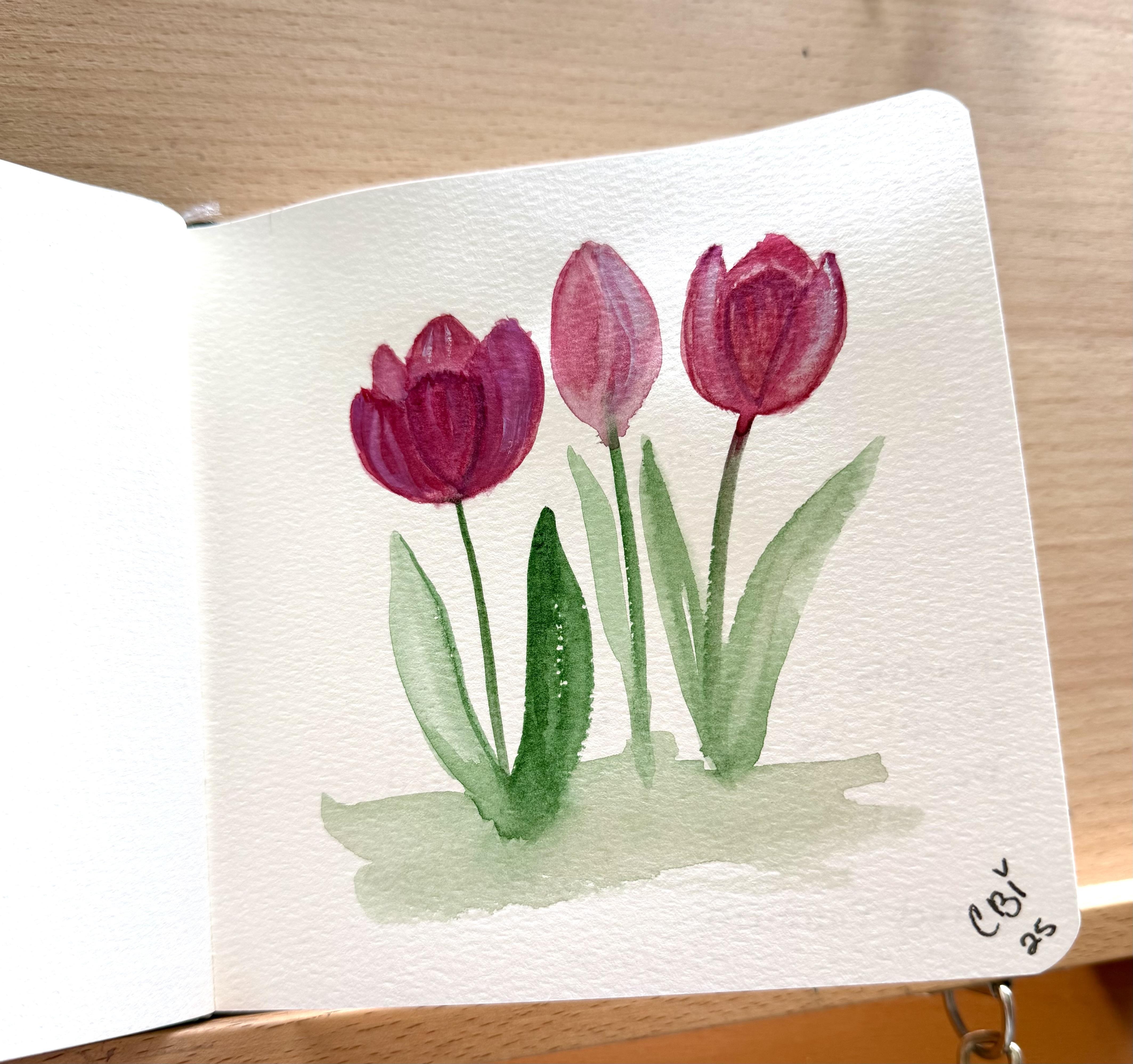 Tulips - student project
