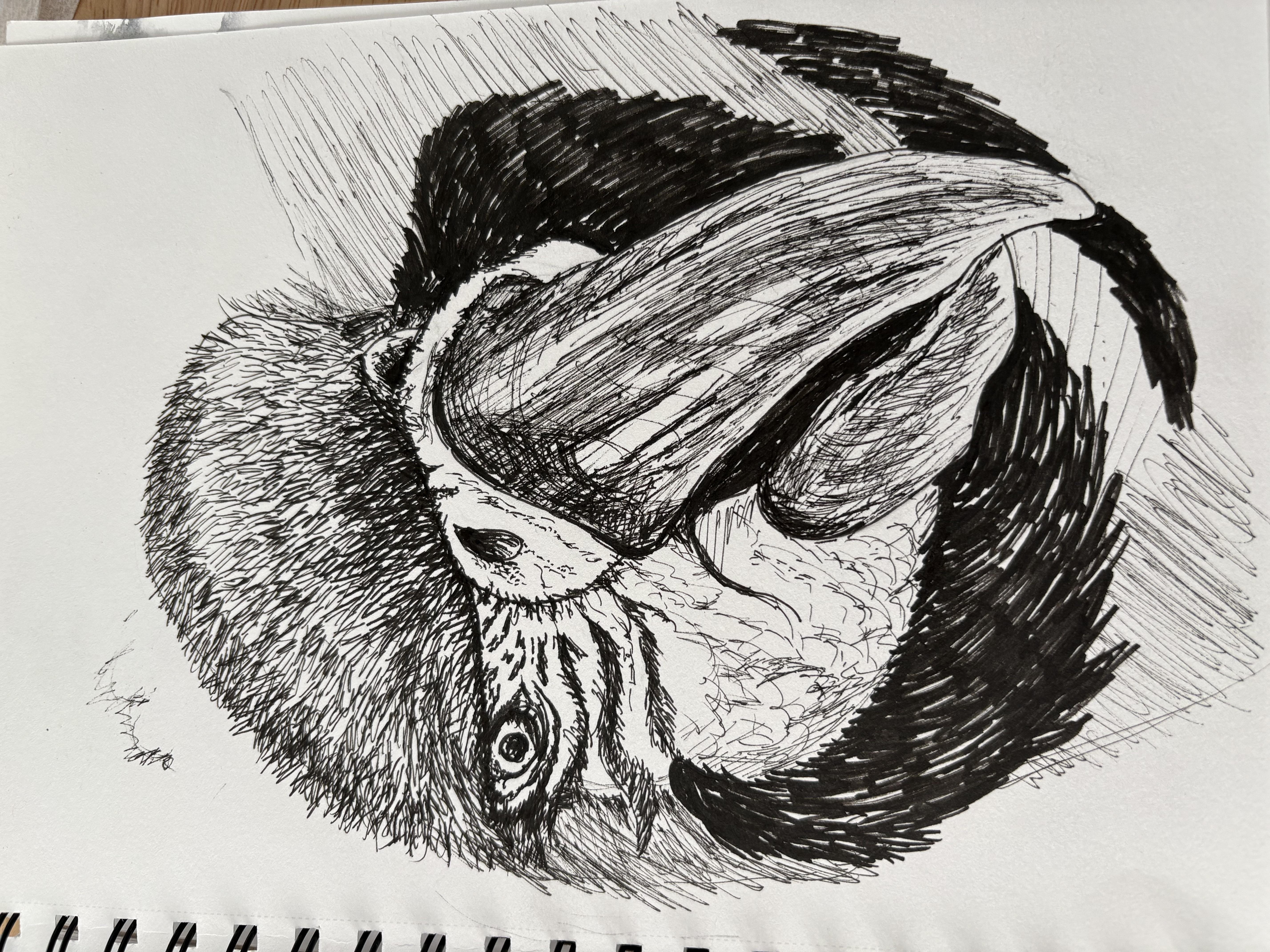 more-projects-from-class-img