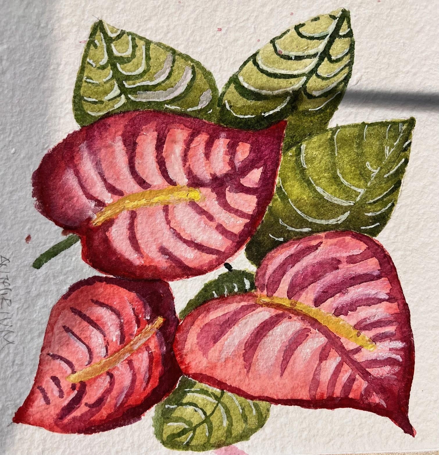 Anthrium - student project