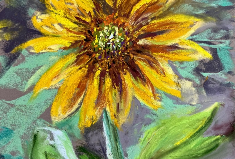 Pastel Sunflower