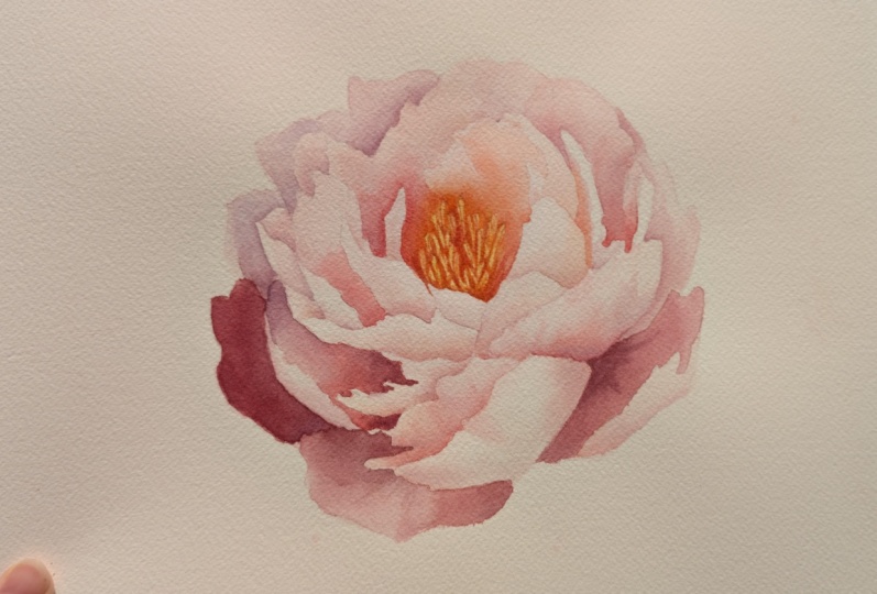 Peony