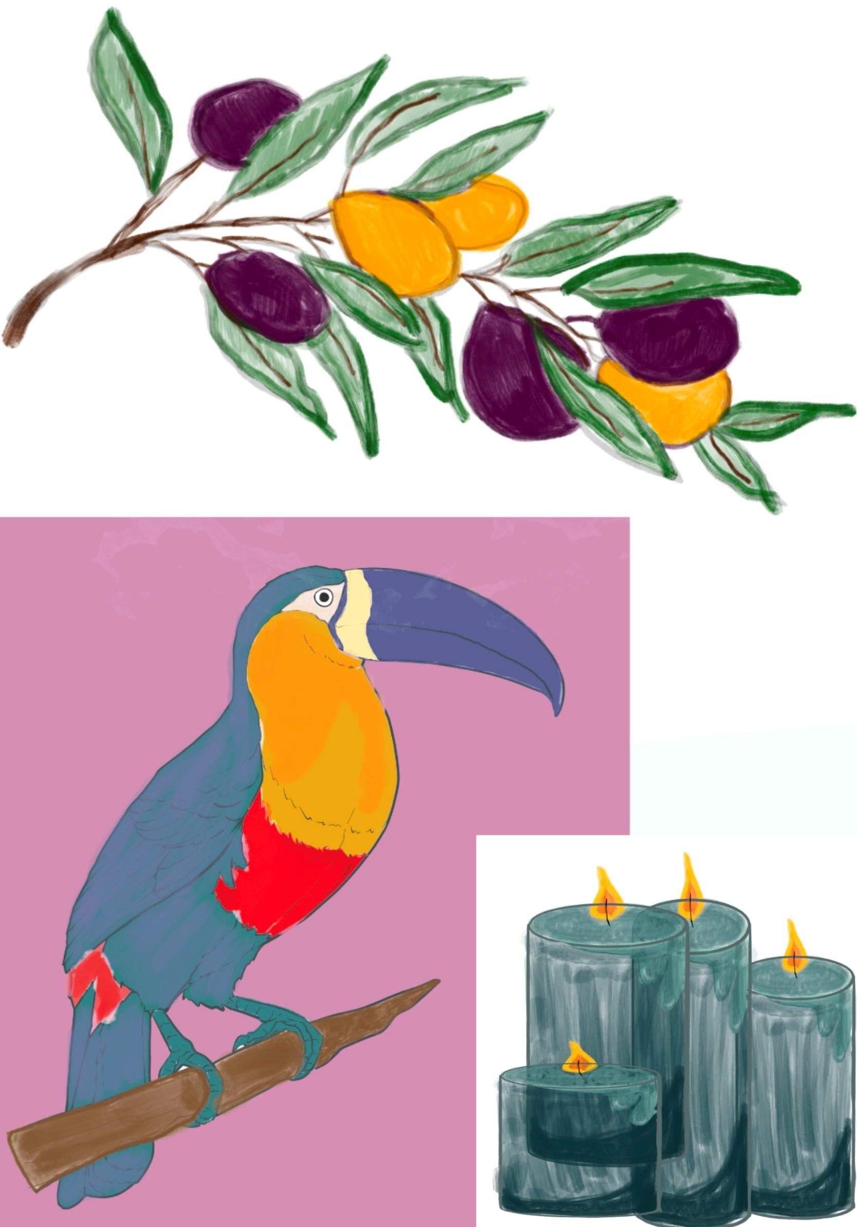 more-projects-from-class-img