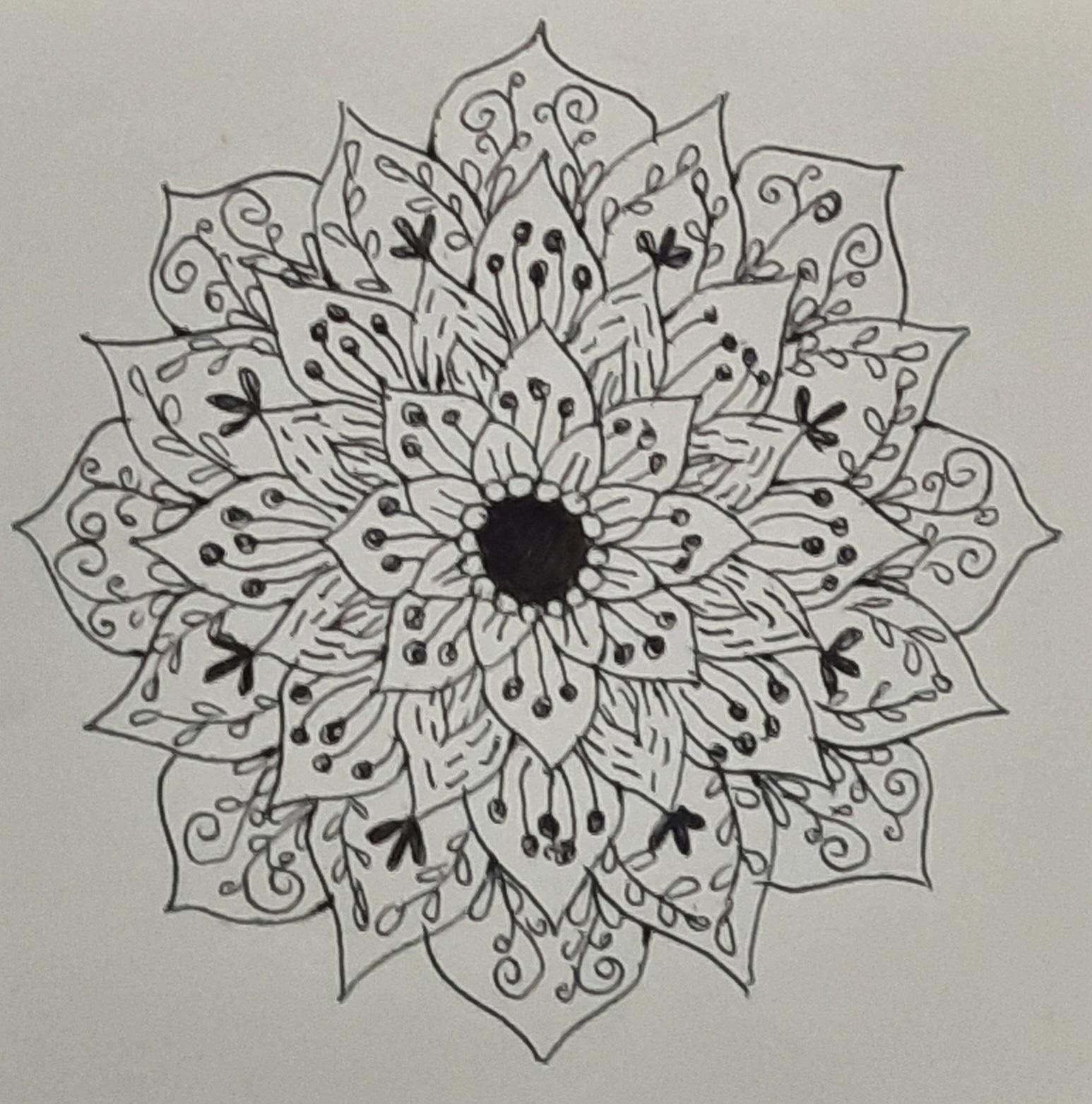 more-projects-from-class-img
