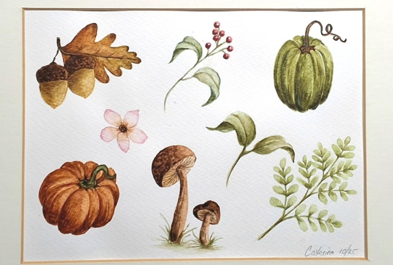 Autumn season watercolour illustrations