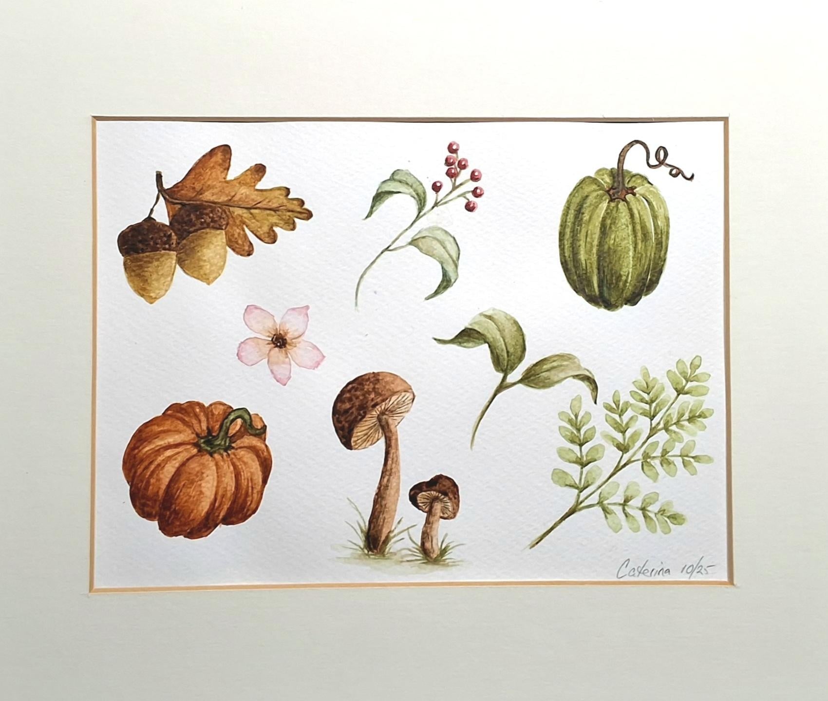 Autumn season watercolour illustrations - student project