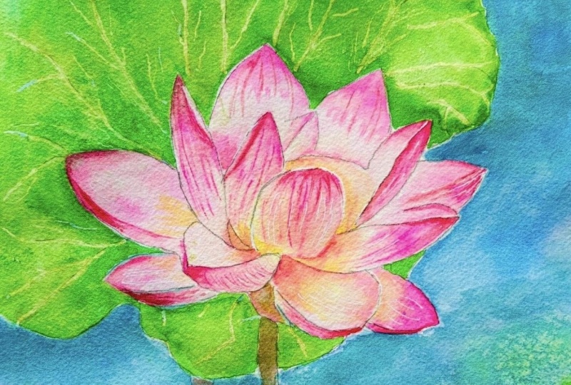 Grace of Stillness