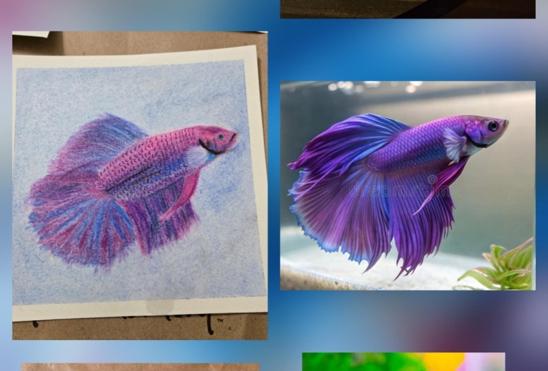 Soft pastel beta