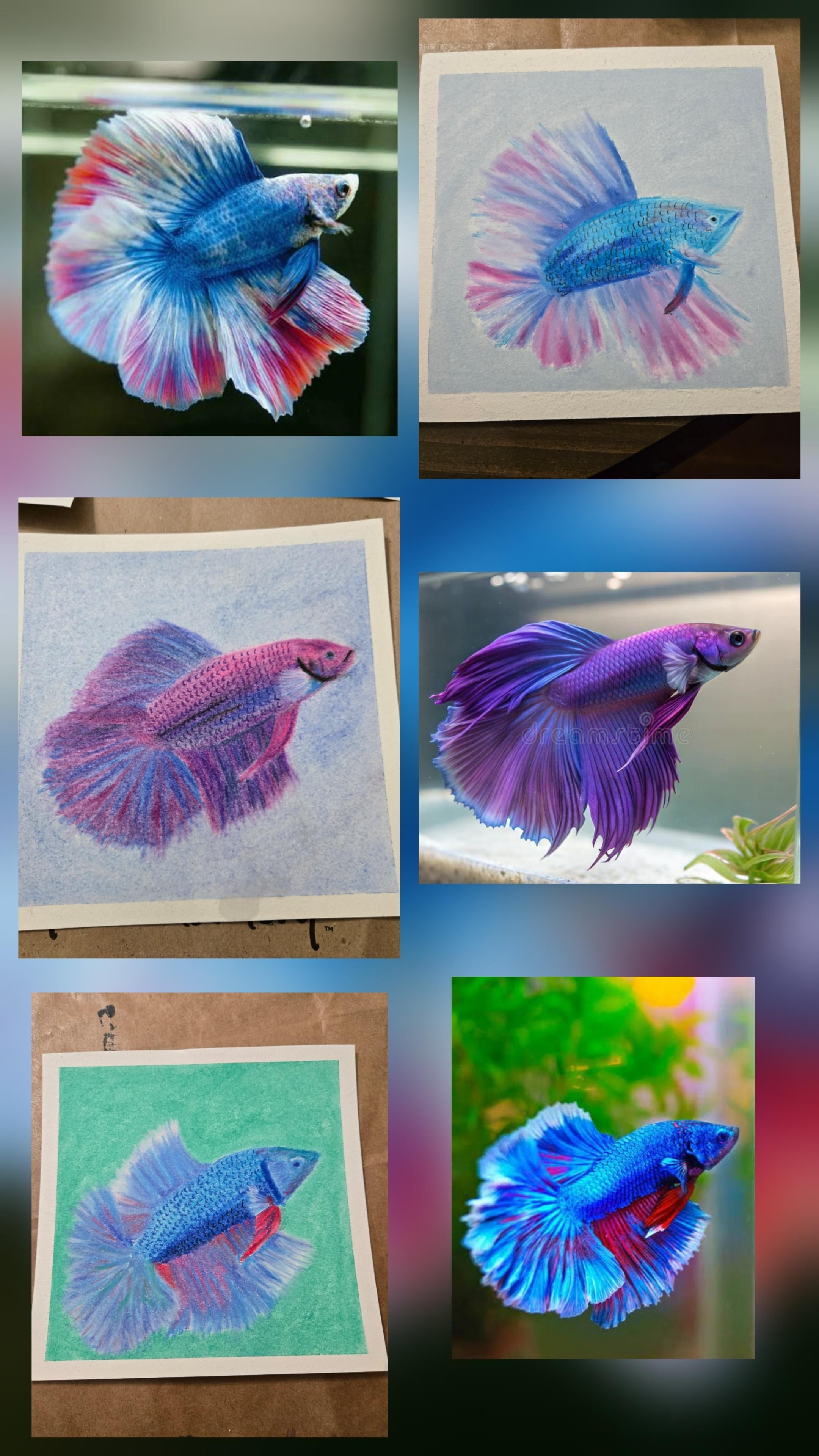 Soft pastel beta - student project
