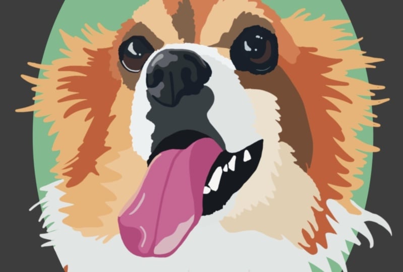 Dog Portrait