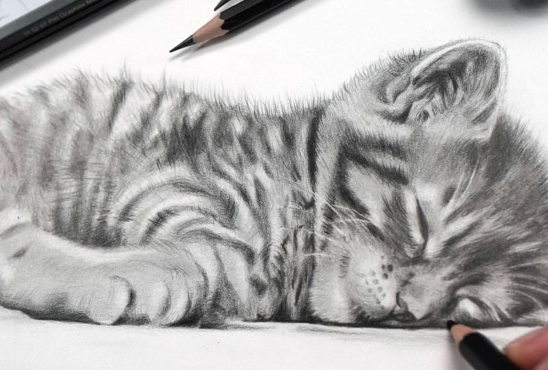 Sleeping Kitten Project