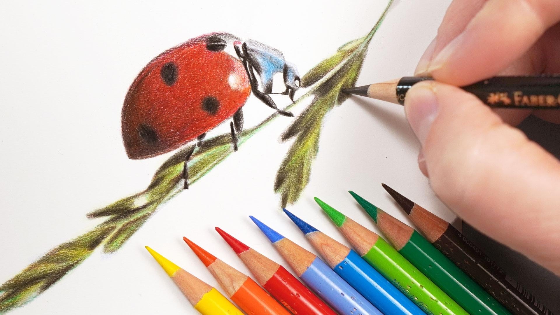 Ladybird Project - student project