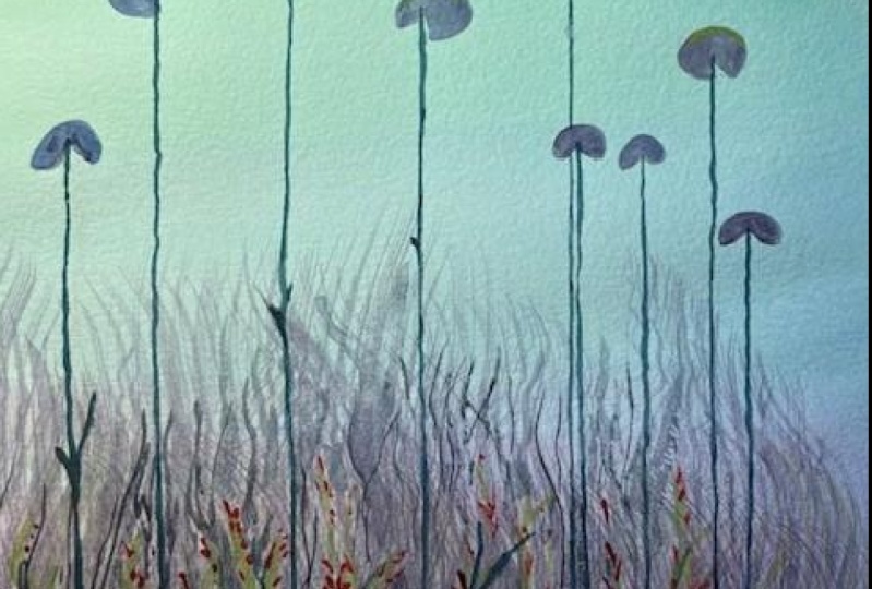 Waterlilies
