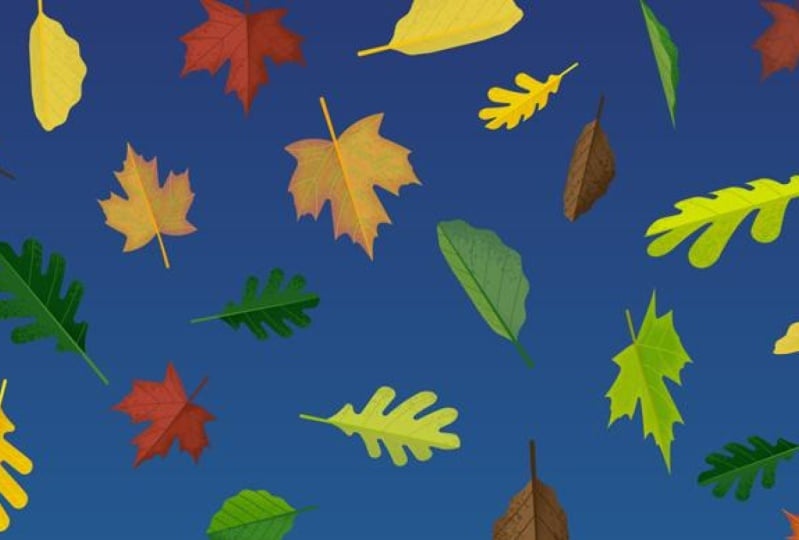 Falling Leaves
