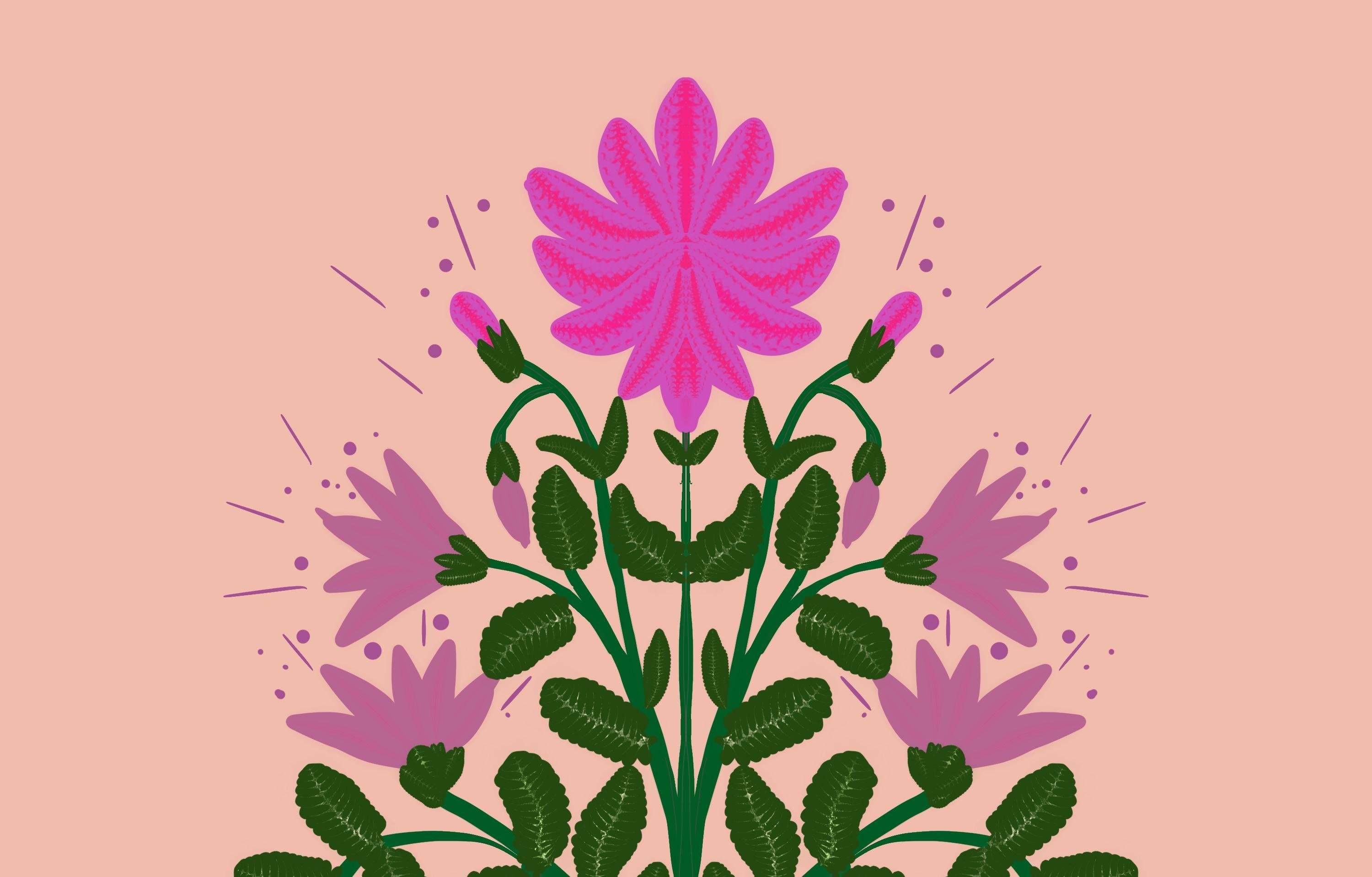 more-projects-from-class-img